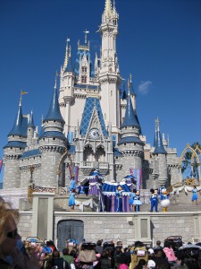 Muskelstimulering och ansiktsmassage samt tens och ems. Disneyworld